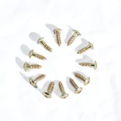 Edea Mounting Screw (Set Of 12)